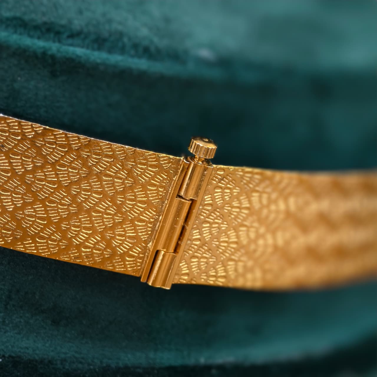 Hip Belt